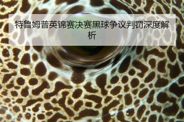 te-lu-mu-pu-ying-jin-sai-jue-sai-hei-qiu-zheng-yi-pan-fa-shen-du-jie-xi-2-468.jpg